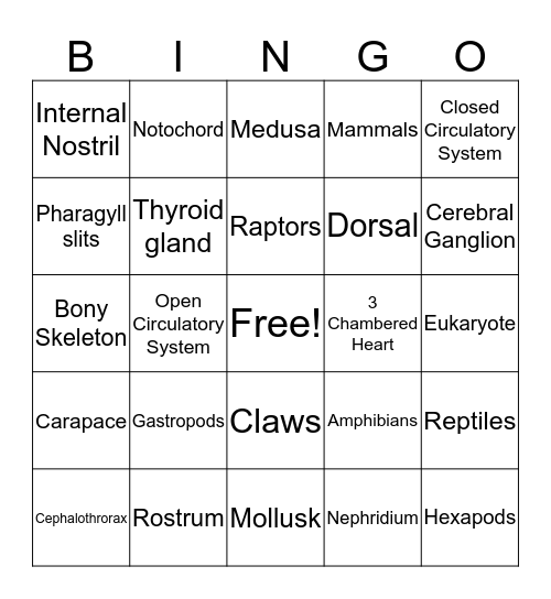 Animal Bingo Card