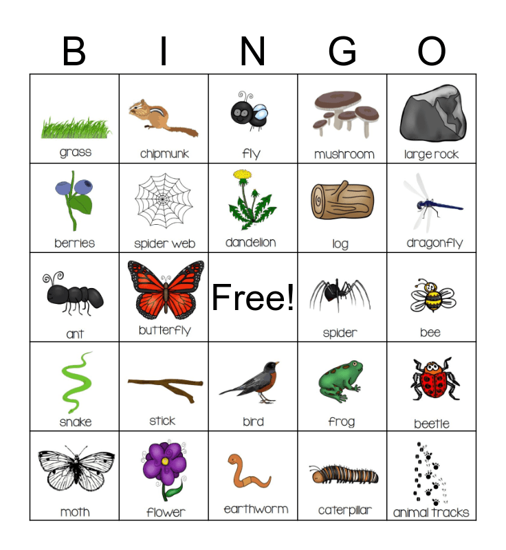 nature bingo cards set free