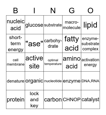 Chemistry of Life Bingo Card