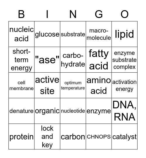 Chemistry of Life Review Bingo Card