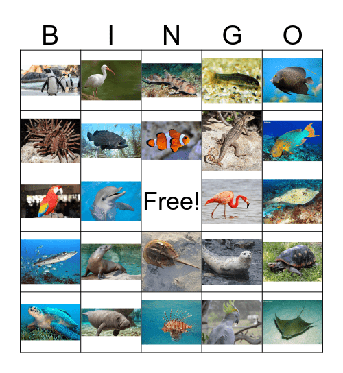 Camp Seaquarium Scavenger Hunt Bingo Card