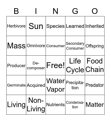 Science Vocabulary Bingo Card