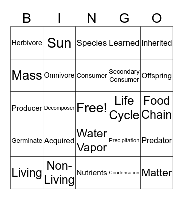 Science Vocabulary Bingo Card