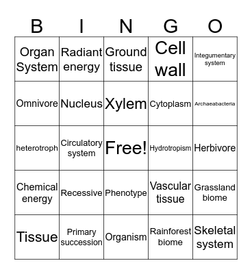 EOC Review Bingo Card
