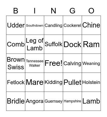 Farm Animal Bingo Card