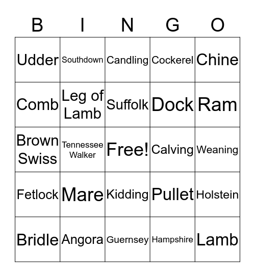 Farm Animal Bingo Card