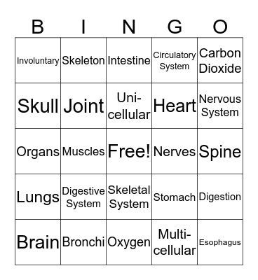 Science Bingo Card