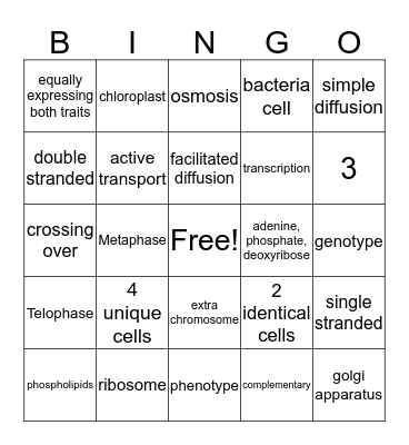Spring Final Bingo Card