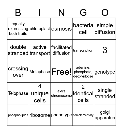 Spring Final Bingo Card