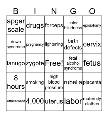 Unit 3  Bingo Card