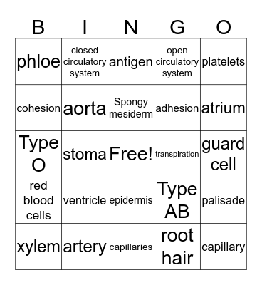 Circulation Bingo Card