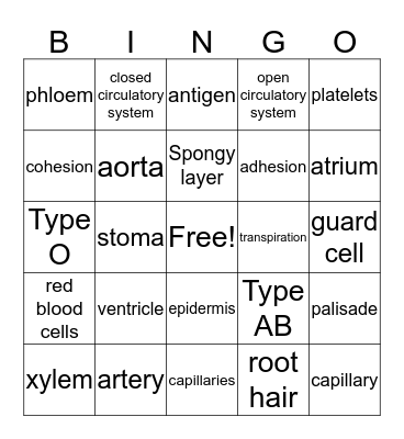 Circulation Bingo Card