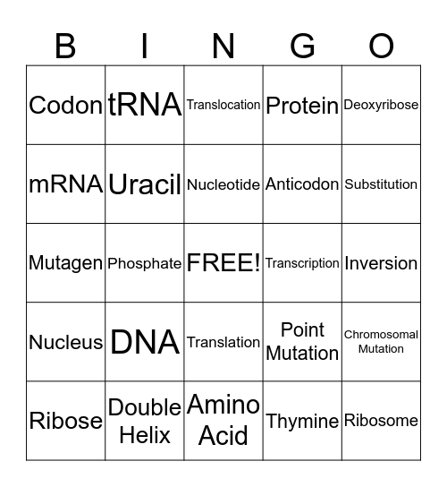 DNA and Gene Expression Review Bingo Card