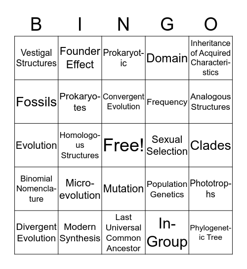 Evolution Bingo Card