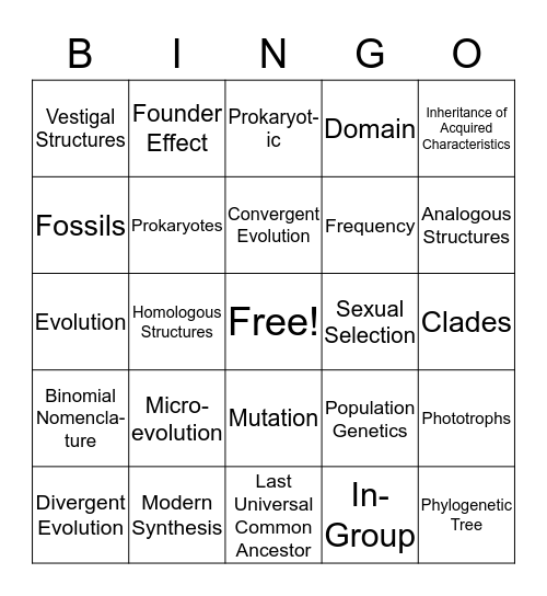 Evolution Bingo Card