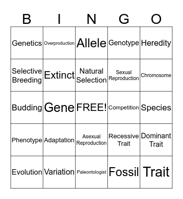 Changes Over Time Bingo Card