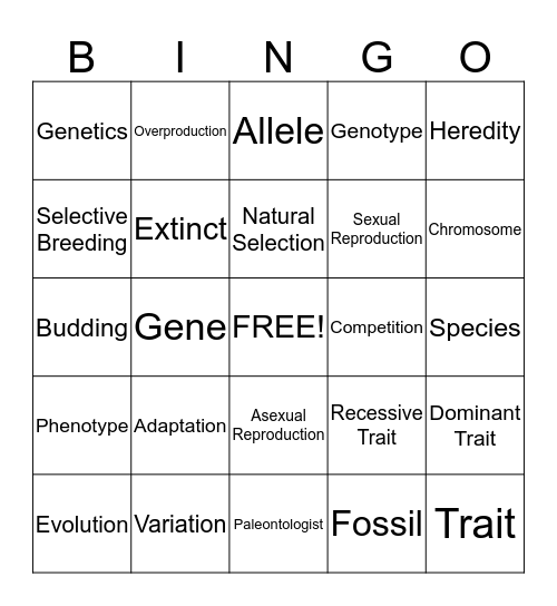 Changes Over Time Bingo Card
