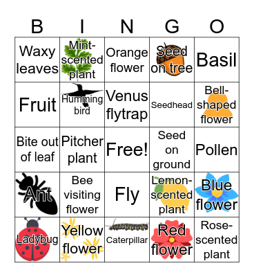 Plants & Bugs Bingo Card