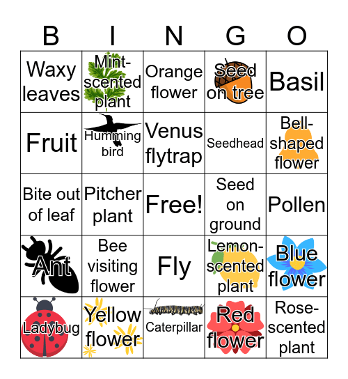 Plants & Bugs Bingo Card