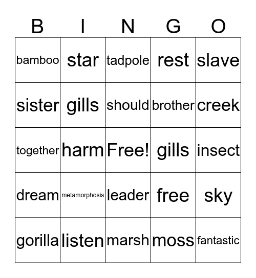 Vocabulary Review Bingo Card