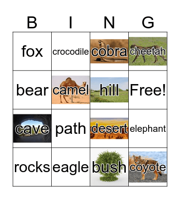 Animals and Nature Bingo Card