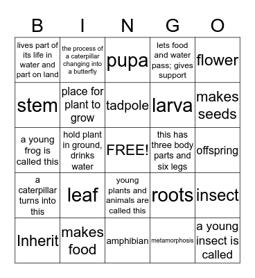 Life Science Review Bingo Card