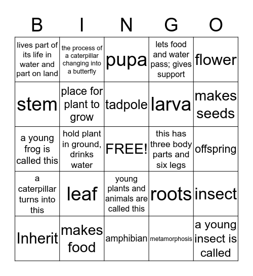 Life Science Review Bingo Card