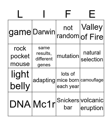 Pocket Mouse  Bingo Card