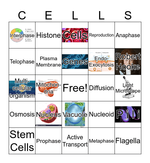 Biology Bingo Card