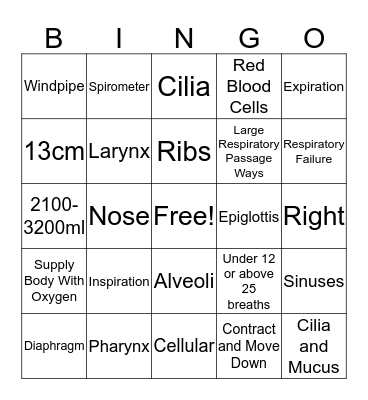 Respiratory System Bingo Card