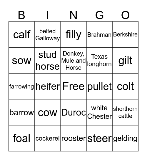 Ag BINGO Card