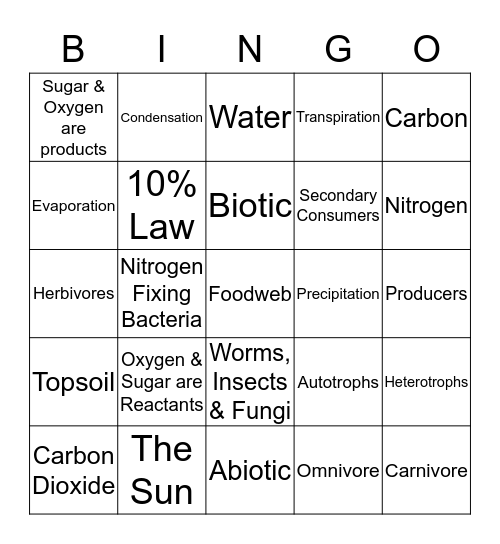 Bio Bingo Card