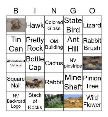 Nevada Backroads Bingo Card