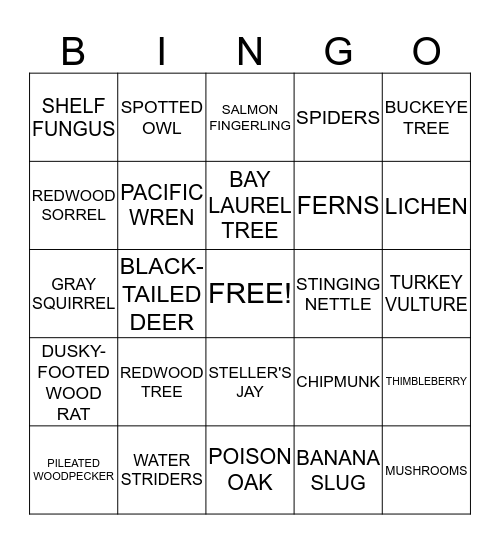 MUIR WOODS BINGO Card