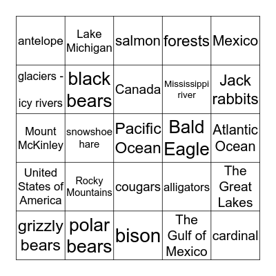 North America Bingo Card