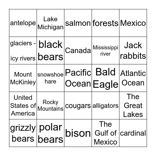 North America Bingo Card