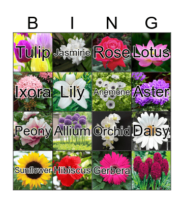 flowers Bingo Card