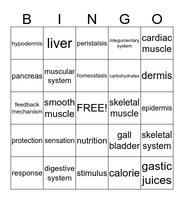 4th Six Weeks Test Bingo Card