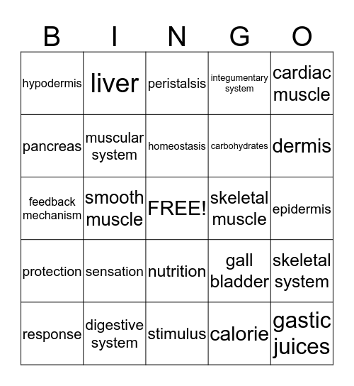 4th Six Weeks Test Bingo Card