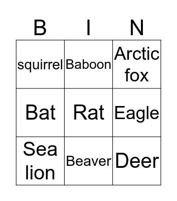 Animals Bingo Card