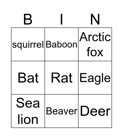 Animals Bingo Card