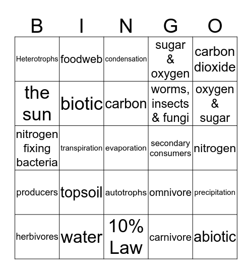 Biolingo Bingo Card