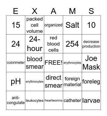EXAMS Bingo Card