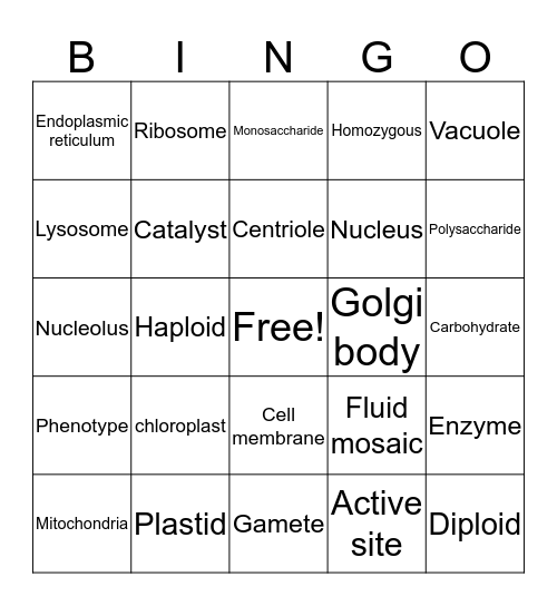 SOL review Bingo Card