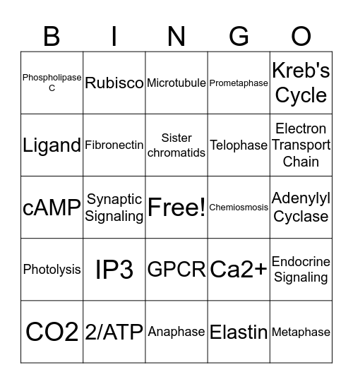 Exam 2 Review Bingo Card