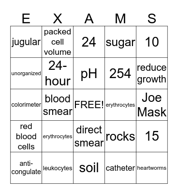 EXAMS Bingo Card