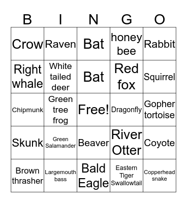 Wildlife Wonders Bingo Card