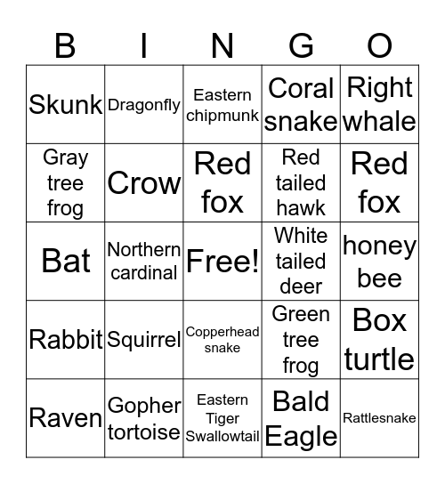 Wildlife Wonders Bingo Card