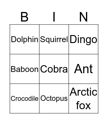 Animals Bingo Card