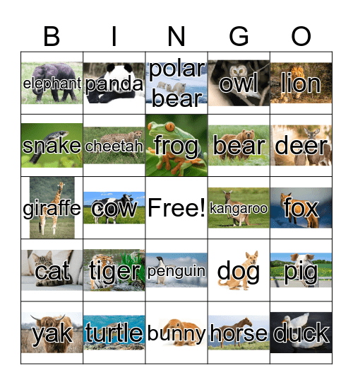 Animal Bingo Card